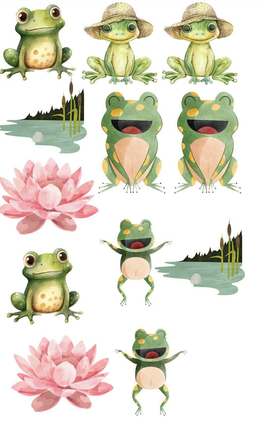 Frog Themed Sticker Set Up