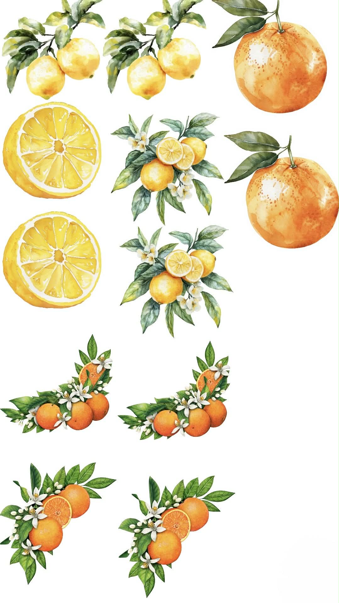 Orange & Lemons Themed Sticker Set Up