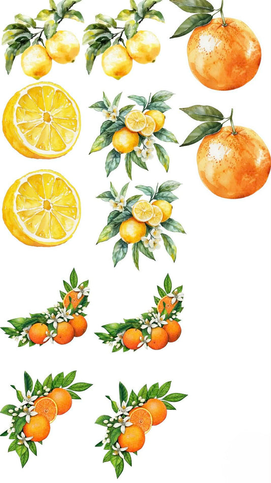 Orange & Lemons Themed Sticker Set Up