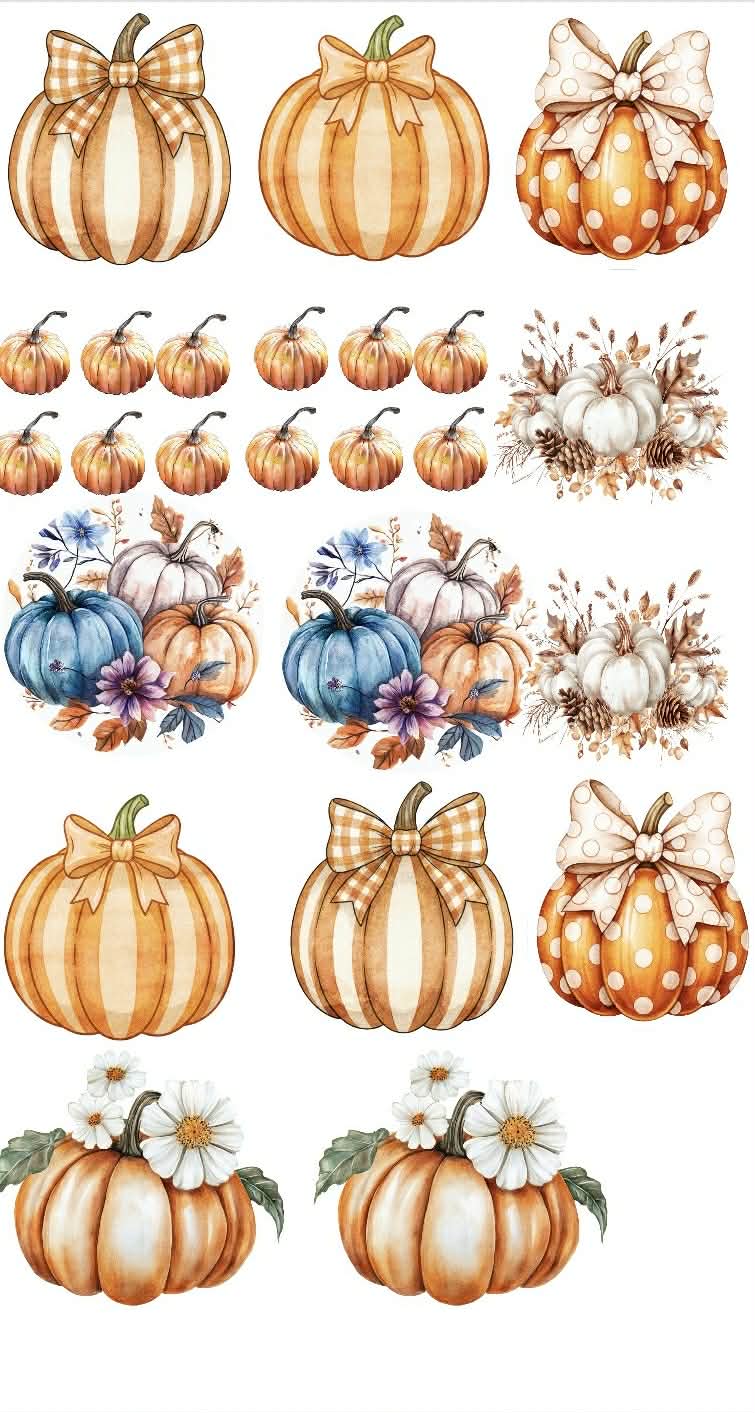 Little Pumpkin Themed Sticker Set Up